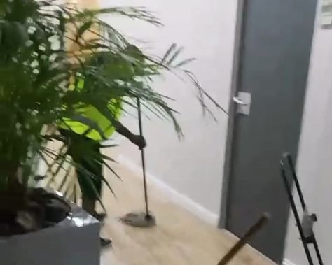 Spring Cleaning Service